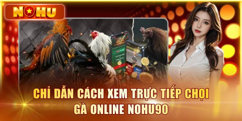 Chỉ dẫn cách xem trực tiếp chọi gà online NOHU90