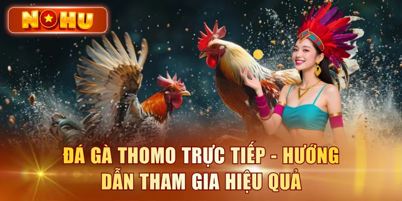 Đá gà Thomo