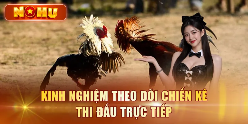 Đá Gà Thomo Campuchia - Xem Trực Tiếp Full HD Miễn Phí Kinh nghiệm theo dõi chiến kê thi đấu trực tiếp