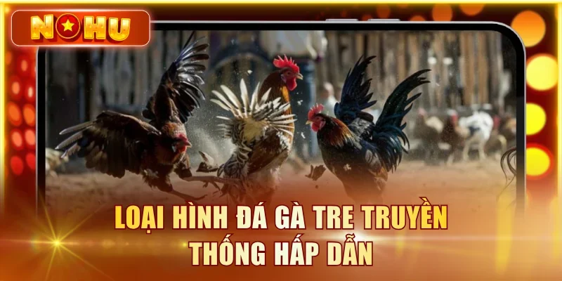Loại hình đá gà Tre truyền thống hấp dẫn