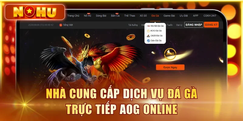 Nhà cung cấp dịch vụ đá gà trực tiếp AOG online