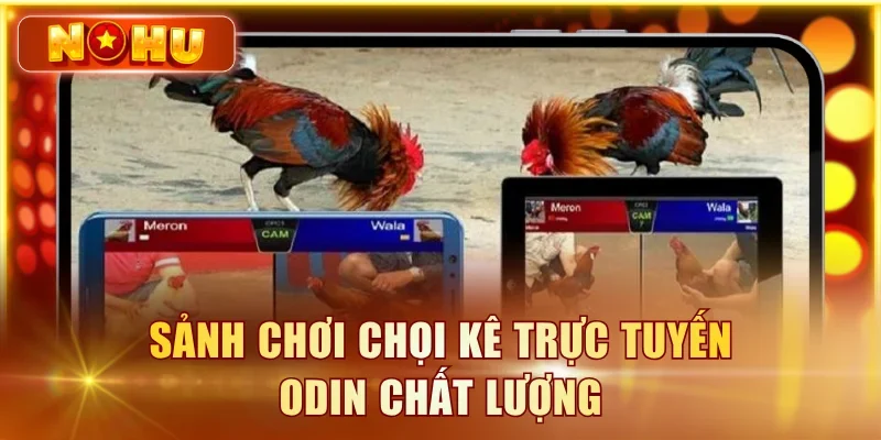 Sảnh chơi chọi kê trực tuyến Odin chất lượng