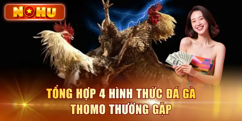 Đá Gà Thomo Campuchia - Xem Trực Tiếp Full HD Miễn Phí Tổng hợp 4 hình thức đá gà Thomo thường gặp